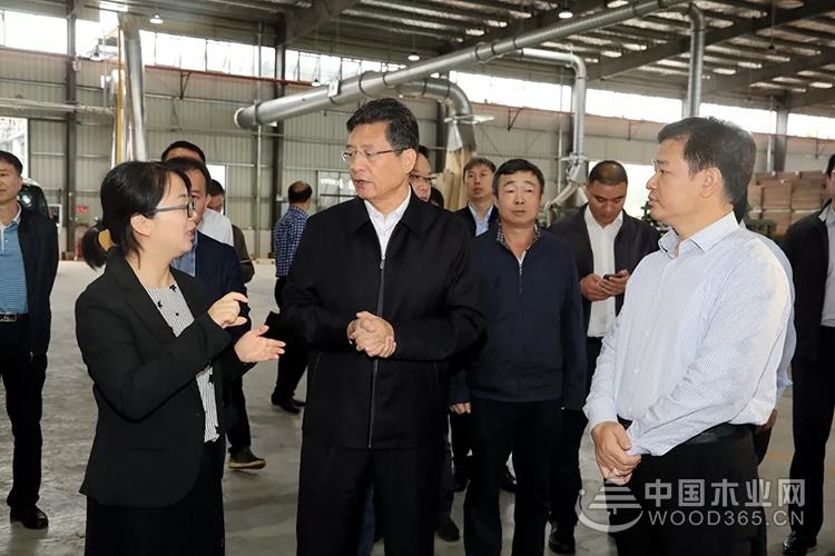 柳州鹿寨加快林业产业高质量发展步伐