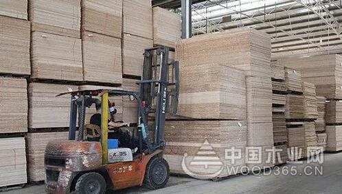 浦北林木循环经济产业园领跑广西沿海同类园区