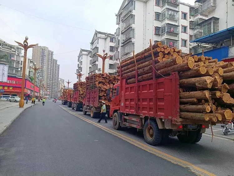 贵州榕江整治木材车辆超限超载运输