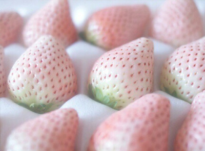 菠萝莓的营养价值和食用价值