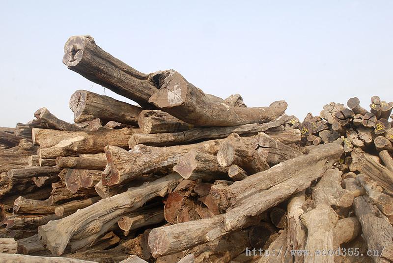 泉州市蔚林木业有限公司