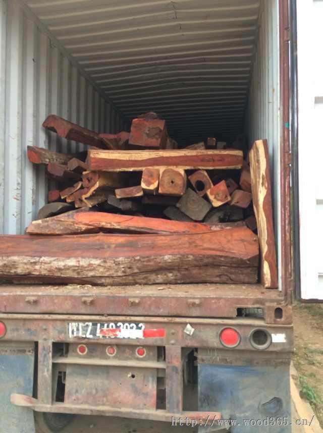 巴拿马产微凹黄檀原木$50000/吨立即询价军刀豆_军刀木_南美酸枝_酸枝