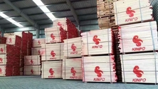 丰之林木业有限公司 我公司是专业批发零售美国阔叶木烘干板材的供应商,现货品种主要有:紅橡木(Red Oak),白橡木(White Oak),硬楓木(Hard Maple),軟楓木(Soft Maple),鵝掌楸(Americantulipwood)太平洋枫木(pc maple),赤楊木(Alder),白腊木(又叫水曲柳Ash),櫻桃木(Cherry)等,公司在东莞大岭山、厚街东方兴业城均设有大型仓库,每年销售数万立方的板材(300-600个/月柜的储量)。 公司主营:红橡,白橡,硬枫,软枫,樱桃,黑胡桃,