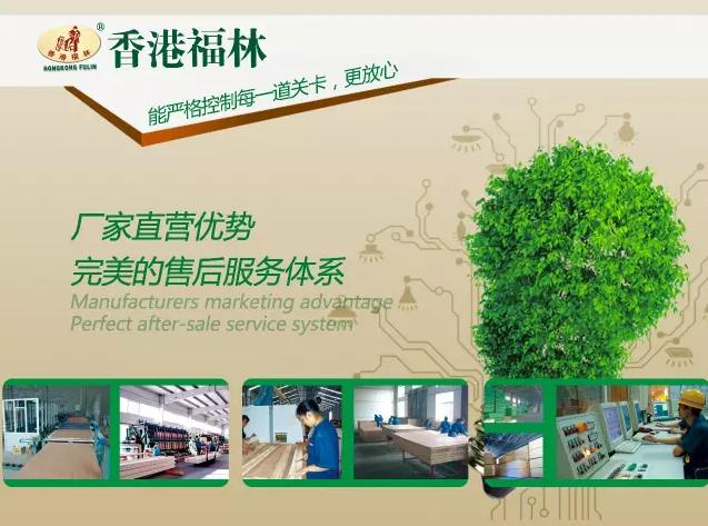 香港福林:你需要的,是我们最在乎的!