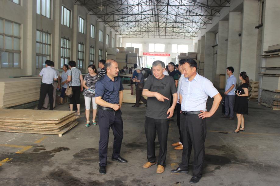 领导河南省集团协感谢等莅临河南宏达家具参明旺泸州家具厂图片